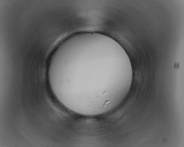 X0000093530304200710121155