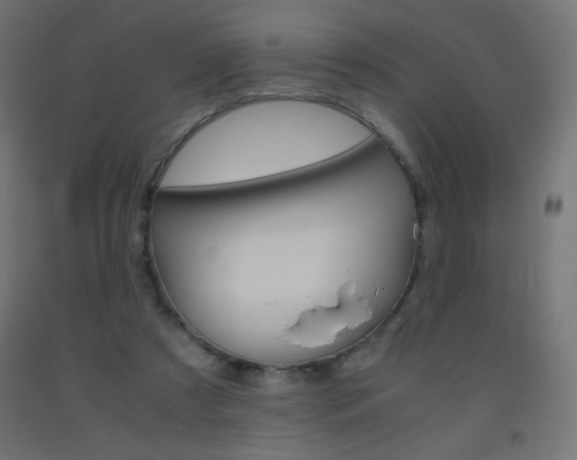 X0000093530305200710121155