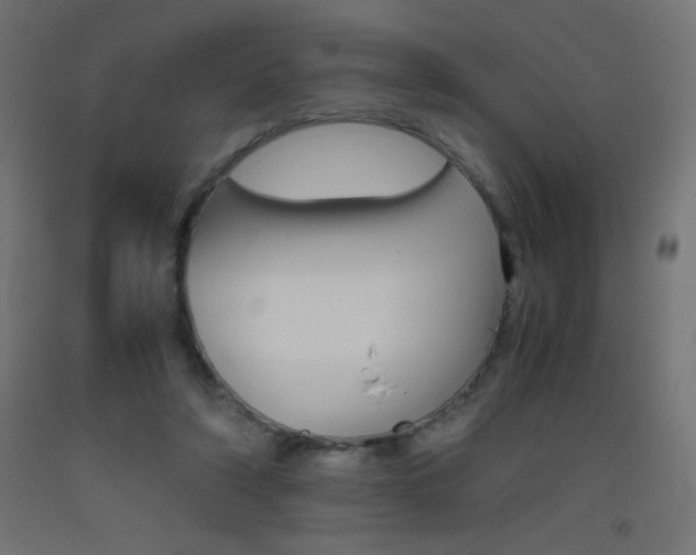 X0000093530306200710121155