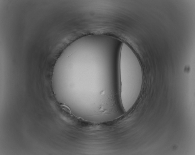 X0000093530307200710121155