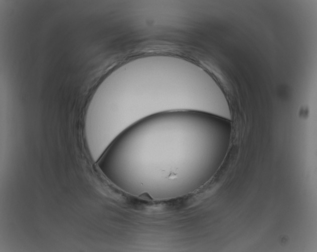 X0000093530309200710121155