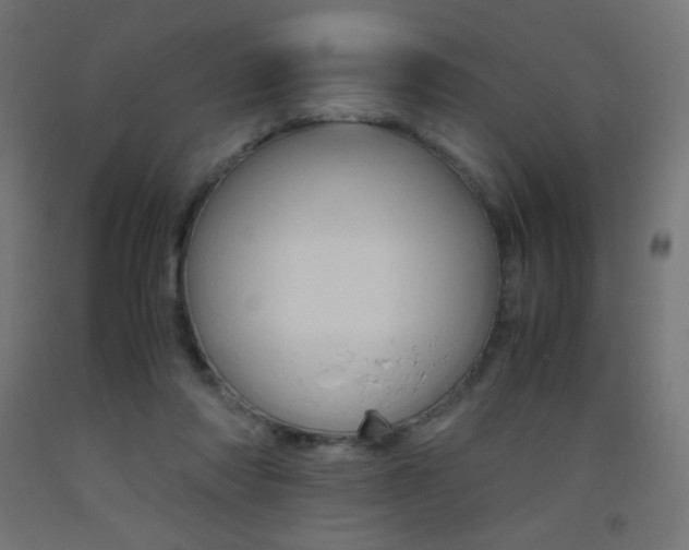 X0000093530310200710121155