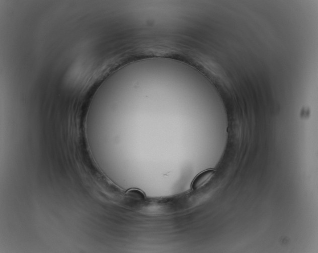 X0000093530312200710121155