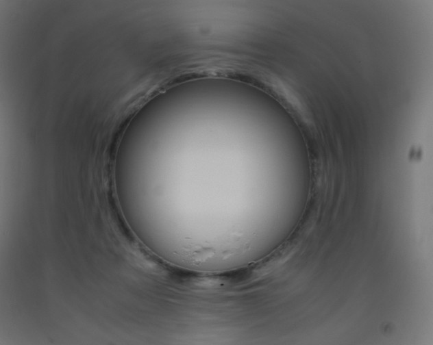 X0000093530313200710121155