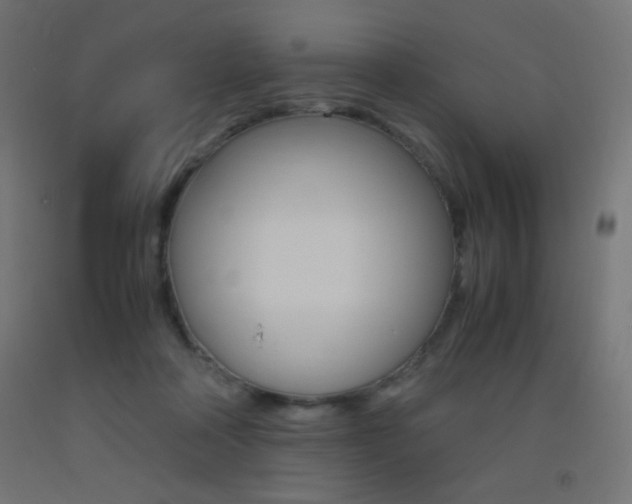 X0000093530314200710121155