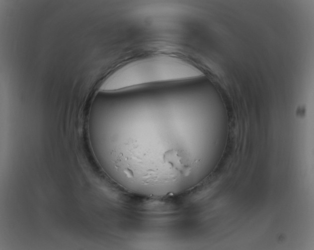 X0000093530315200710121155