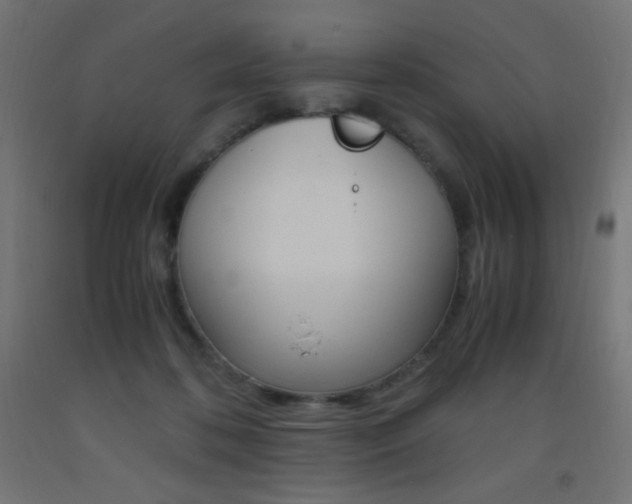 X0000093530316200710121155