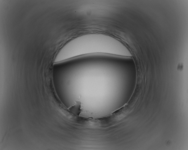 X0000093530317200710121154
