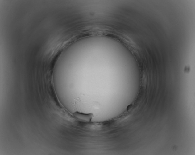 X0000093530318200710121154