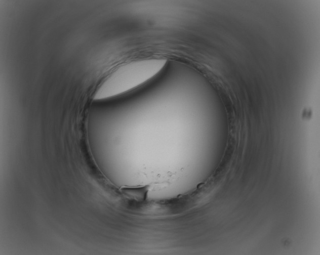 X0000093530319200710121154