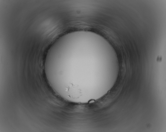 X0000093530320200710121154