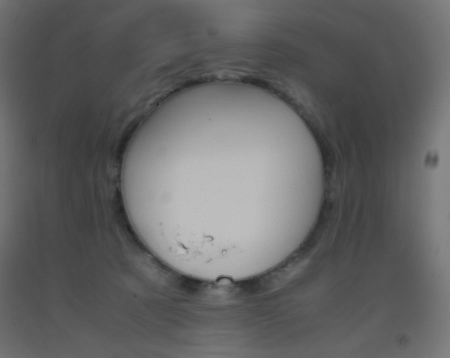 X0000093530321200710121154