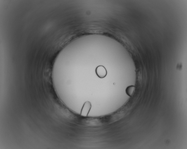 X0000093530322200710121154