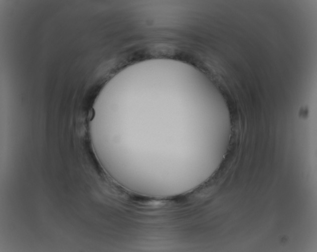 X0000093530323200710121154