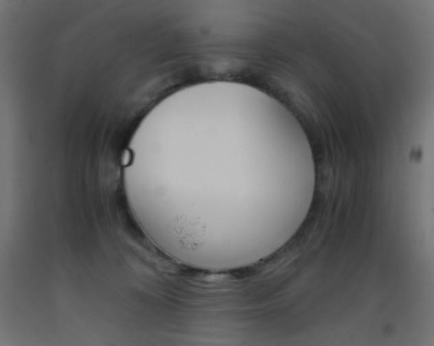 X0000093530324200710121154