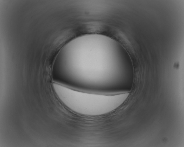 X0000093530325200710121154