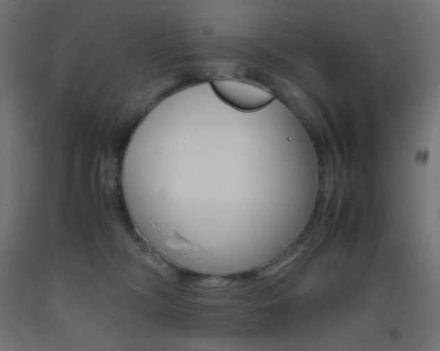 X0000093530326200710121154
