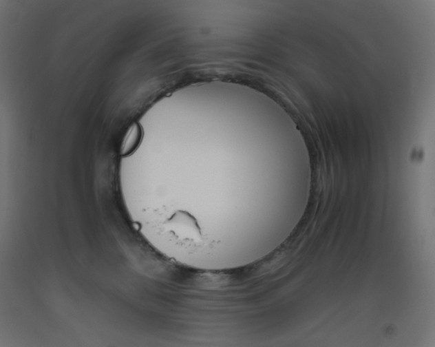 X0000093530328200710121154