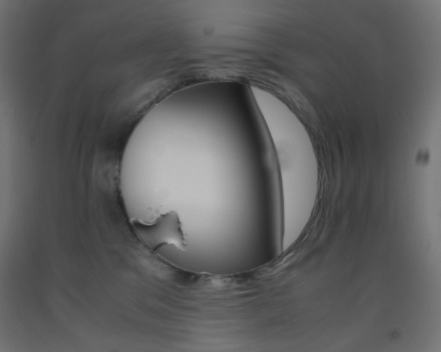 X0000093530329200710121154