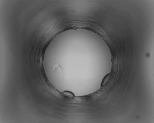 X0000093530330200710121154