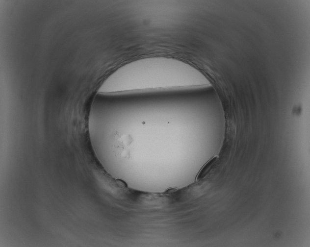 X0000093530331200710121154