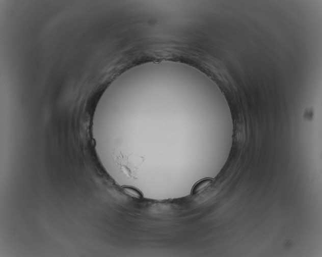 X0000093530332200710121154