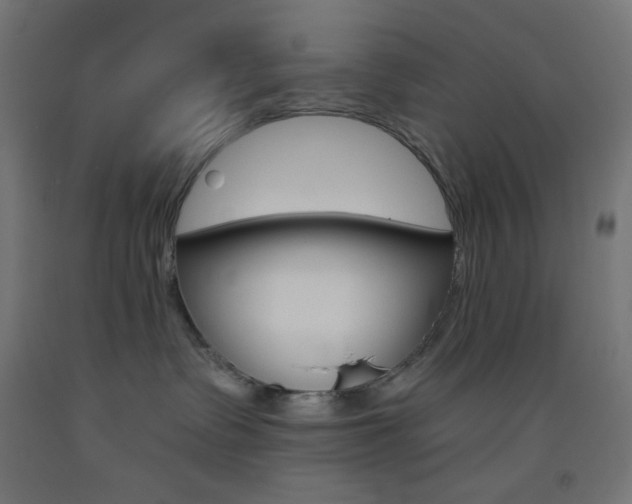 X0000093530335200710121154