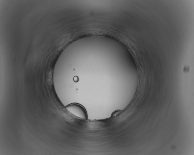 X0000093530336200710121154