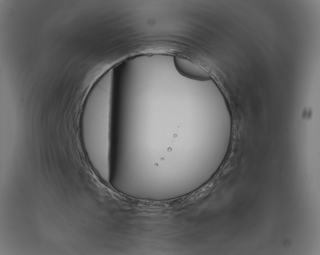 X0000093530337200710121154