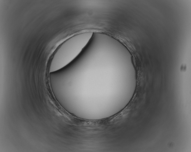 X0000093530338200710121154