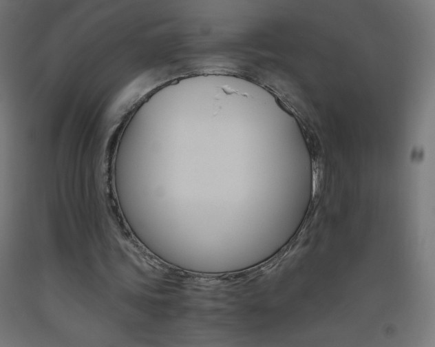X0000093530339200710121154