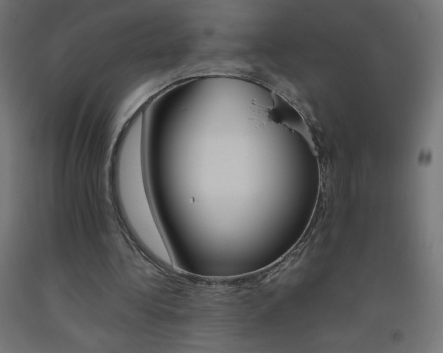 X0000093530340200710121154