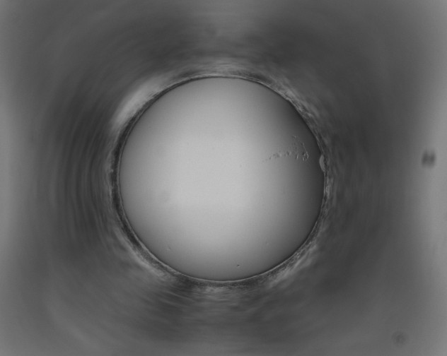 X0000093530341200710121154