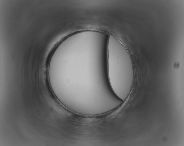X0000093530342200710121154
