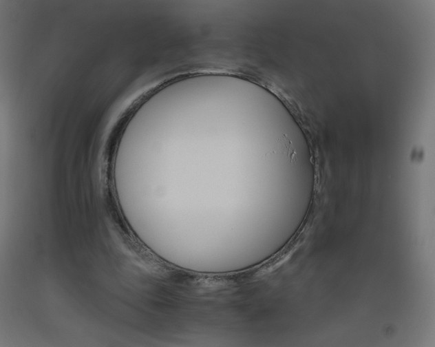 X0000093530343200710121154