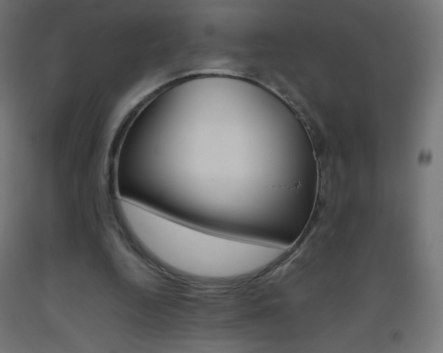 X0000093530344200710121154