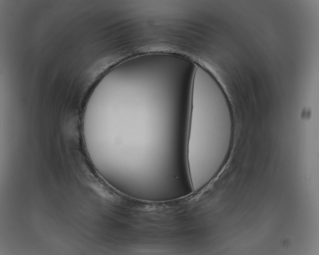 X0000093530345200710121154