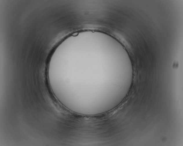 X0000093530346200710121154