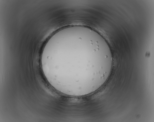X0000093530347200710121154