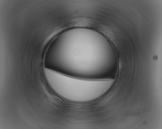 X0000093530348200710121154