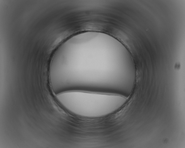 X0000093530349200710121154