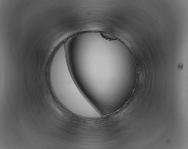 X0000093530350200710121154