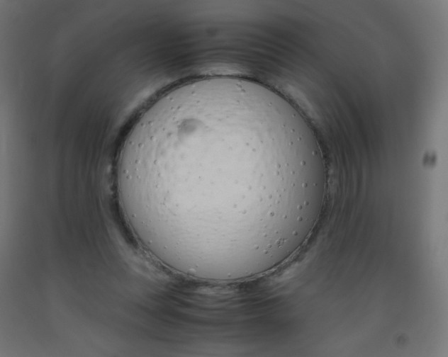 X0000093530351200710121154