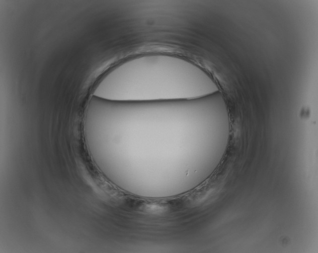 X0000093530352200710121154