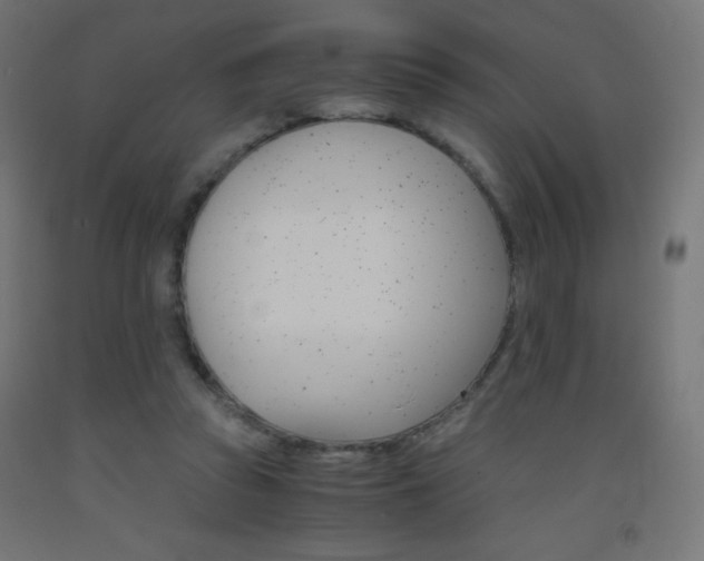 X0000093530353200710121154