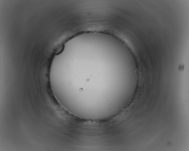 X0000093530354200710121154