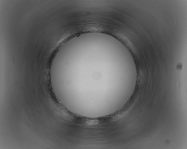 X0000093530355200710121154