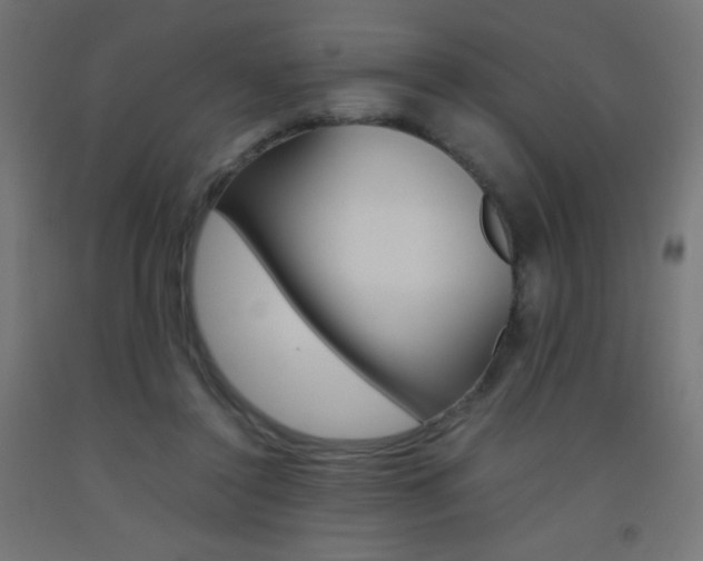 X0000093530356200710121154