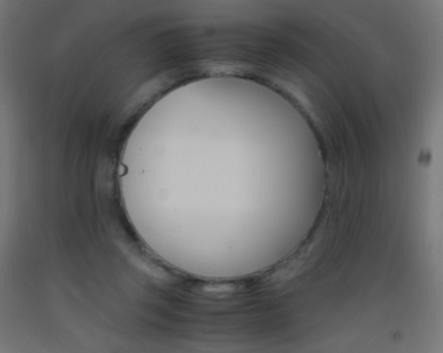 X0000093530357200710121154