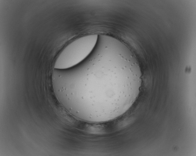 X0000093530359200710121154